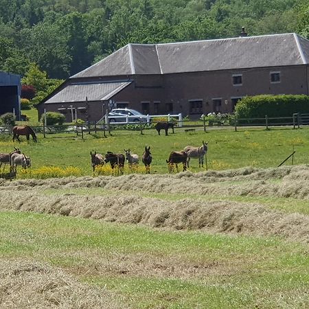 Bed and Breakfast Les Mout'Anes Saint-Hilaire-sur-Helpe Exteriér fotografie