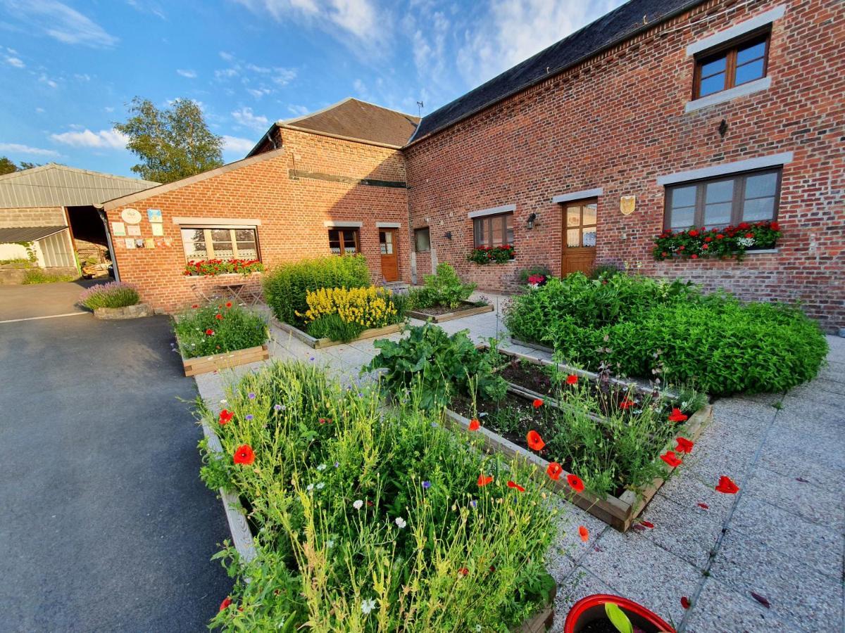 Bed and Breakfast Les Mout'Anes Saint-Hilaire-sur-Helpe Exteriér fotografie