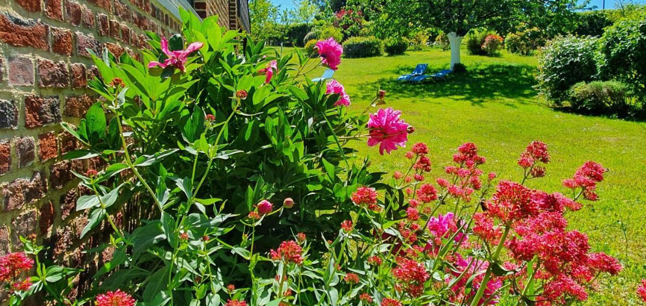 Bed and Breakfast Les Mout'Anes Saint-Hilaire-sur-Helpe Exteriér fotografie