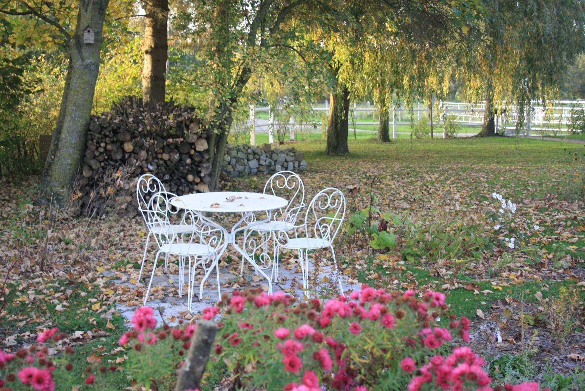 Bed and Breakfast Les Mout'Anes Saint-Hilaire-sur-Helpe Exteriér fotografie