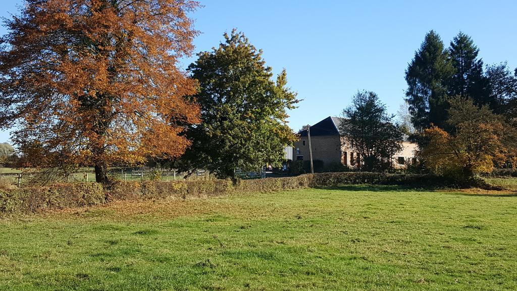 Bed and Breakfast Les Mout'Anes Saint-Hilaire-sur-Helpe Exteriér fotografie