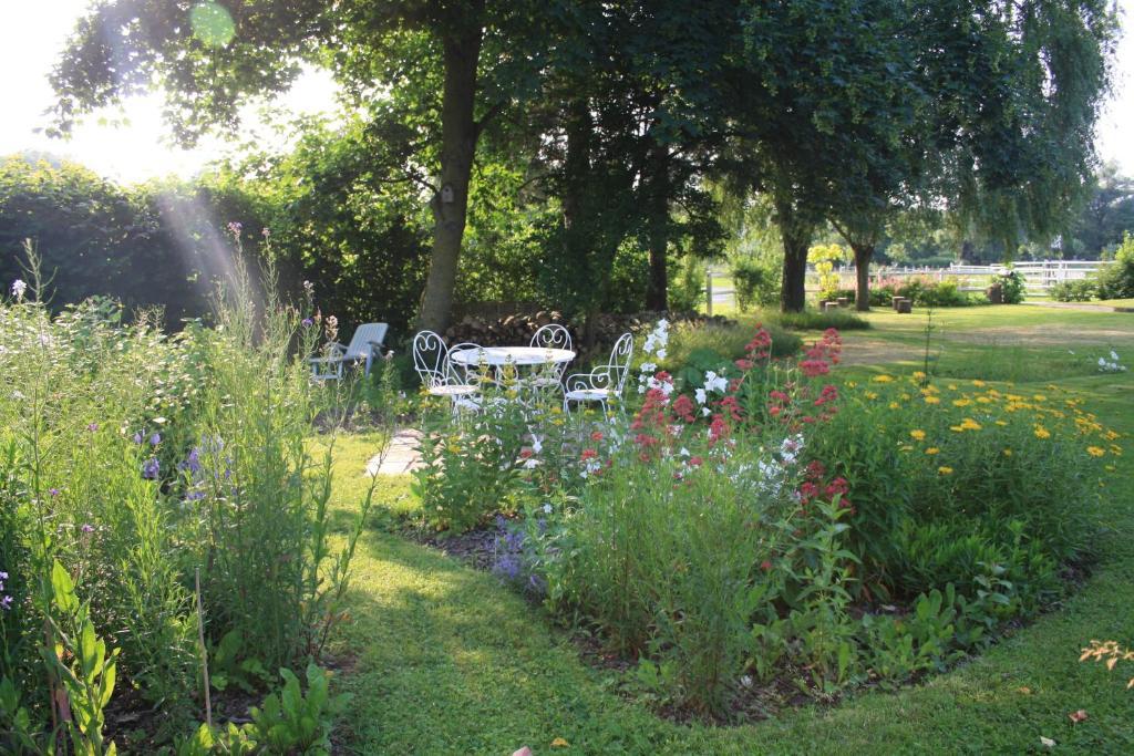 Bed and Breakfast Les Mout'Anes Saint-Hilaire-sur-Helpe Exteriér fotografie