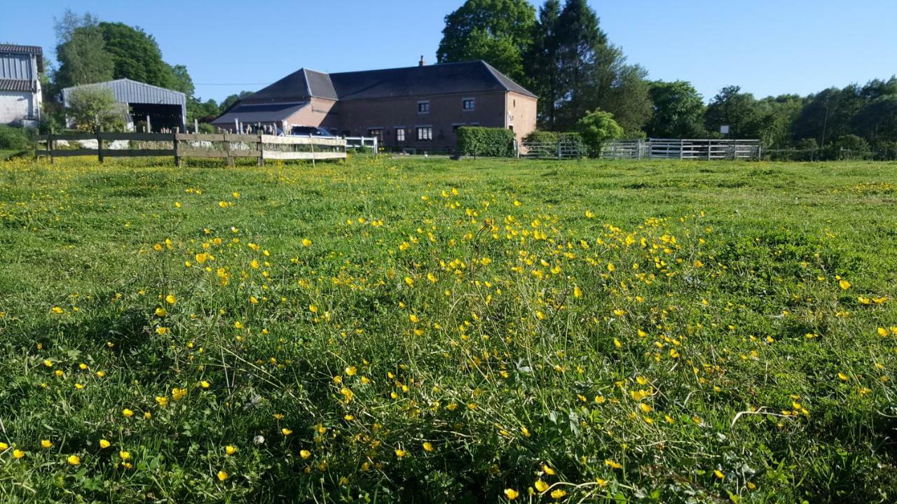 Bed and Breakfast Les Mout'Anes Saint-Hilaire-sur-Helpe Exteriér fotografie