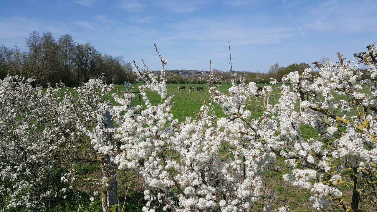 Bed and Breakfast Les Mout'Anes Saint-Hilaire-sur-Helpe Exteriér fotografie